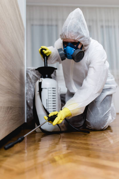 Best Residential Pest Control  in Fort Defiance, AZ